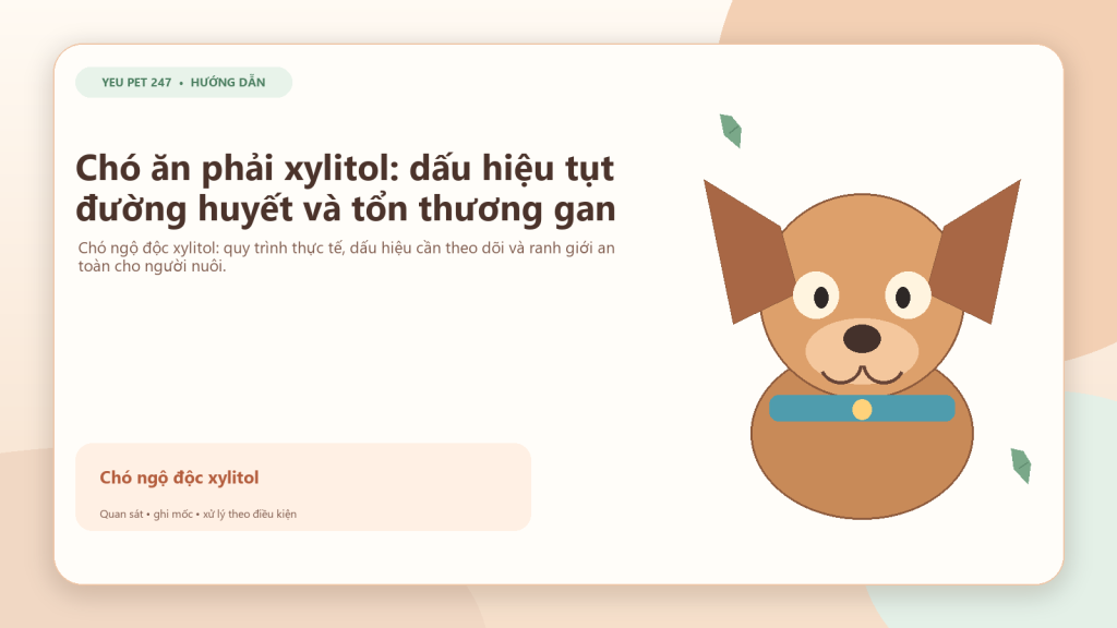 Ảnh đại diện: Chó ăn phải xylitol: dấu hiệu tụt đường huyết và tổn thương gan