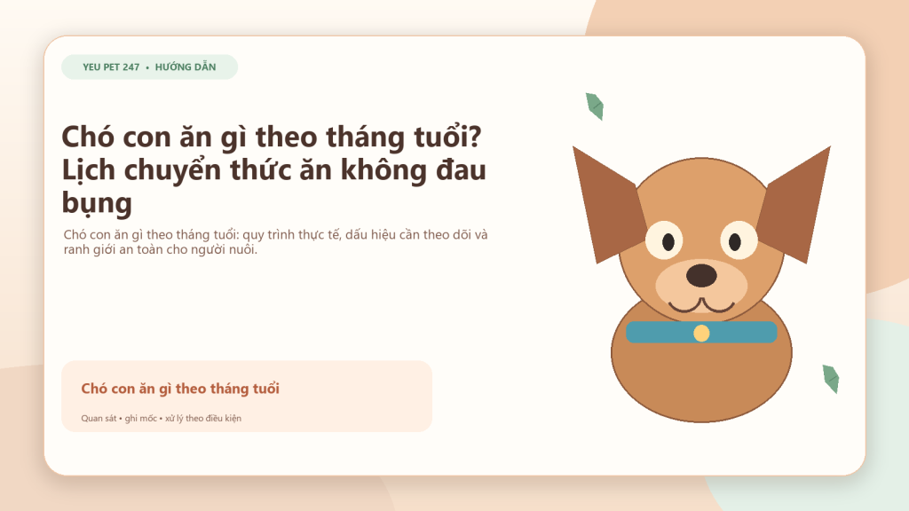 Ảnh đại diện: Chó con ăn gì theo tháng tuổi? Lịch chuyển thức ăn không đau bụng