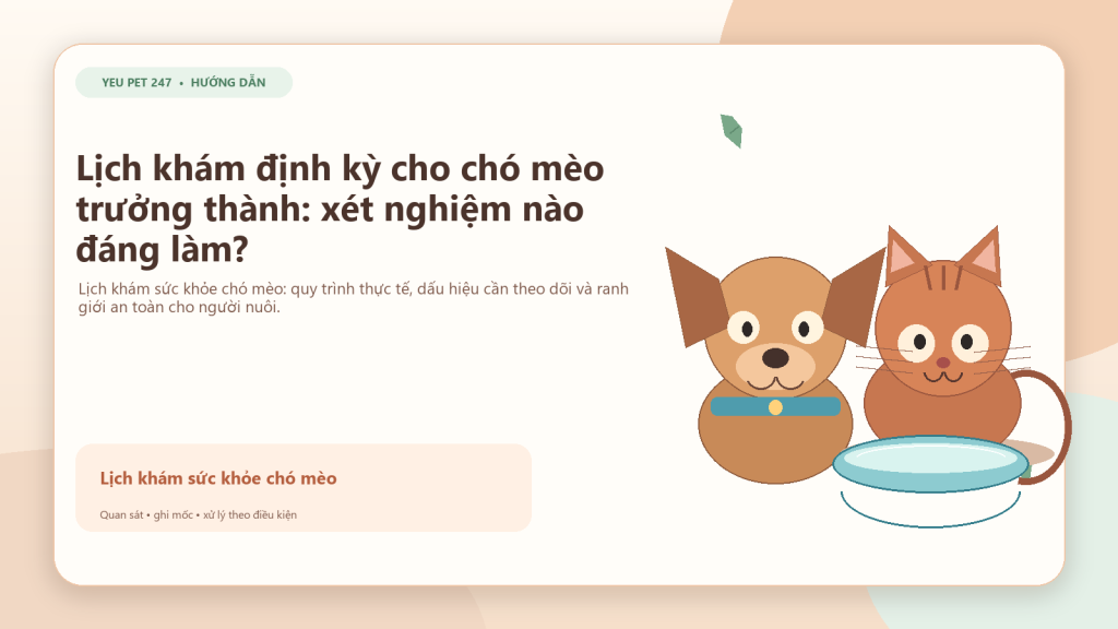 Ảnh đại diện: Lịch khám định kỳ cho chó mèo trưởng thành: xét nghiệm nào đáng làm?