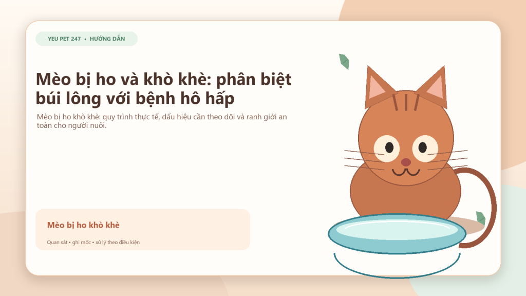 Ảnh đại diện: Mèo bị ho, khò khè: phân biệt búi lông và bệnh hô hấp