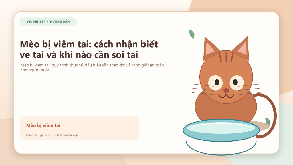 Ảnh đại diện: Mèo bị viêm tai: cách nhận biết ve tai và khi nào cần soi tai
