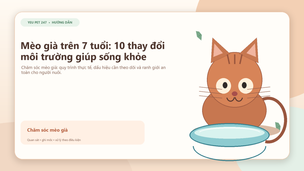 Ảnh đại diện: Mèo già trên 7 tuổi: 10 thay đổi môi trường giúp sống khỏe