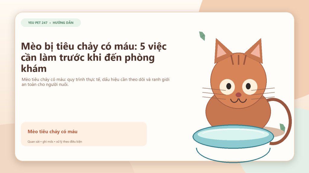 Ảnh đại diện: Mèo bị tiêu chảy có máu: 5 việc cần làm trước khi đến phòng khám